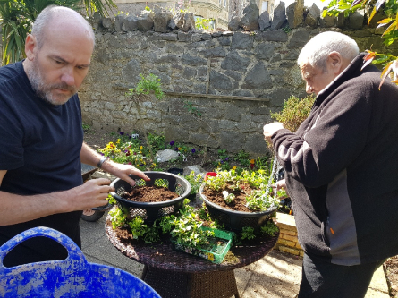 ARBD Care at Campania